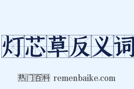 灯芯草反义词是什么意思的图片